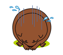 This is cute Wombat's Line Stamps! sticker #267482
