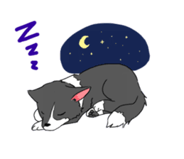 Border Collie -TAMA sticker #267940