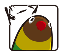 Masked lovebird & Toco Toucan sticker #269915