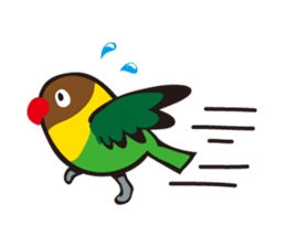 Masked lovebird & Toco Toucan sticker #269932