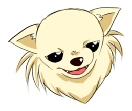 Long Coat Chihuahua sticker #270152