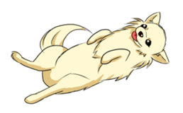 Long Coat Chihuahua sticker #270170