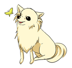 Long Coat Chihuahua sticker #270177