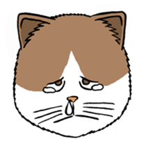 Funny Cats sticker #270268