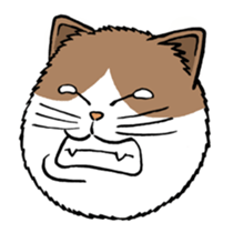 Funny Cats sticker #270270