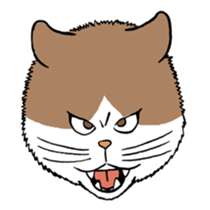 Funny Cats sticker #270272