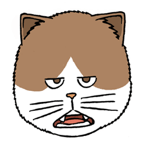 Funny Cats sticker #270275