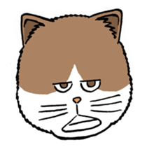 Funny Cats sticker #270276