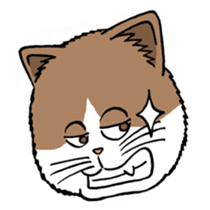 Funny Cats sticker #270279