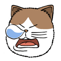 Funny Cats sticker #270283