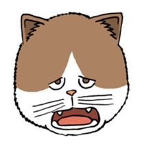 Funny Cats sticker #270284