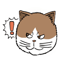Funny Cats sticker #270304