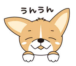 fight!! CORGI sticker #270507