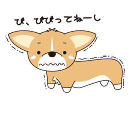 fight!! CORGI sticker #270522