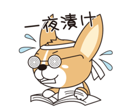 fight!! CORGI sticker #270531