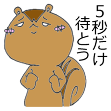 Squ of Squirrel sticker #273276