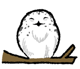 OwlandOwl sticker #273665
