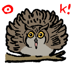 OwlandOwl sticker #273666