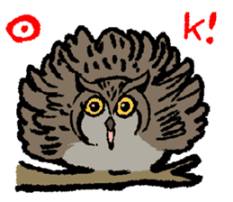 OwlandOwl sticker #273666
