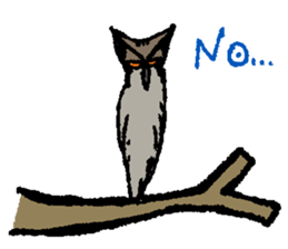 OwlandOwl sticker #273667