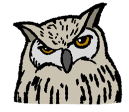 OwlandOwl sticker #273675
