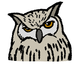 OwlandOwl sticker #273675