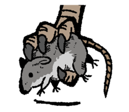 OwlandOwl sticker #273677