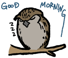 OwlandOwl sticker #273679