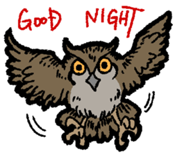 OwlandOwl sticker #273680