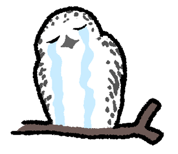 OwlandOwl sticker #273681