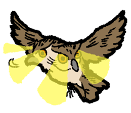 OwlandOwl sticker #273683