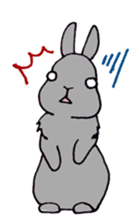 Funny bunny sticker #275635