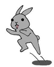 Funny bunny sticker #275657