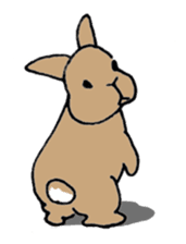 Funny bunny sticker #275661