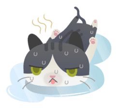 Maew sticker #276719