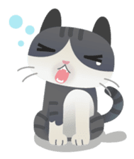 Maew sticker #276724