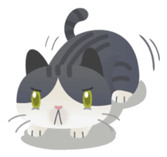 Maew sticker #276736