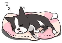 snub nosed dogs love!(English Version) sticker #277185