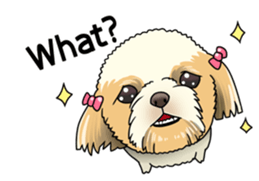 snub nosed dogs love!(English Version) sticker #277187