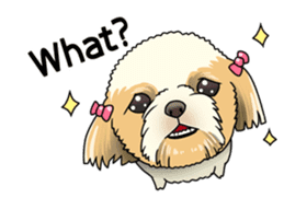 snub nosed dogs love!(English Version) sticker #277187