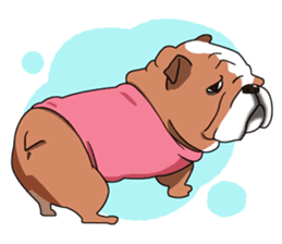 snub nosed dogs love!(English Version) sticker #277193