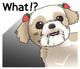 snub nosed dogs love!(English Version) sticker #277198