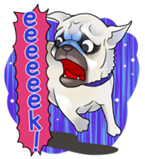 snub nosed dogs love!(English Version) sticker #277205