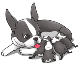 snub nosed dogs love!(English Version) sticker #277210