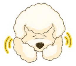 White Poodle sticker #278630
