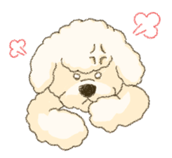 White Poodle sticker #278631