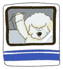 White Poodle sticker #278641