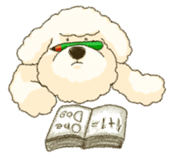 White Poodle sticker #278649