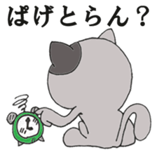 Cat Hakata sticker #279473