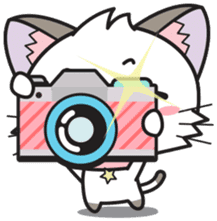 Hoshi & Luna Diary 4 sticker #280908